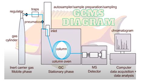 An Overview of GCMS: Principle, Applications, Techniques and Advanta.